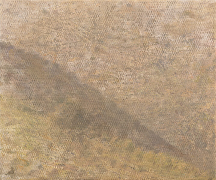 מדרון יורד באלכסון משמאל לימין, צבעים עמומים המרמזים על צמחיה וסלעים מאחור