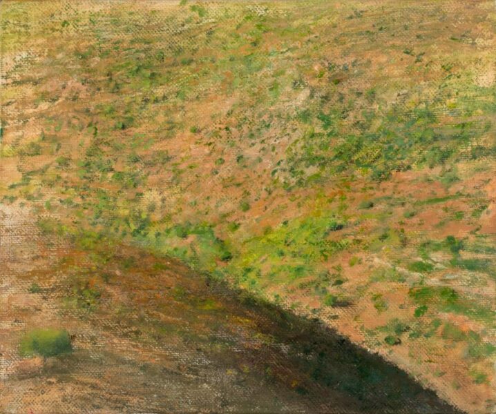 Brown area at bottom, and above it pink and green brushstrokes create image of hillside in shadow and behind it slope with bushes in the light. 