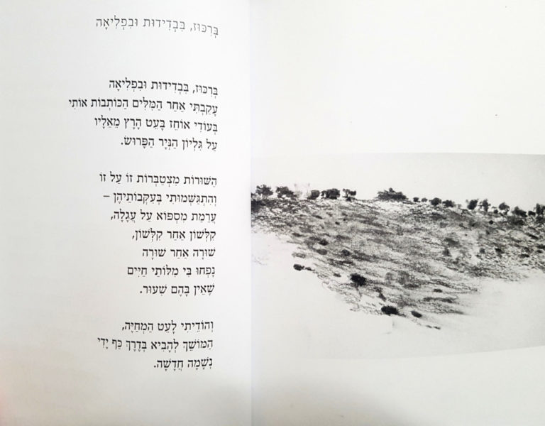 Poem by Tsuriel Assaf with drawing by Ruth Kestenbaum Ben-Dov