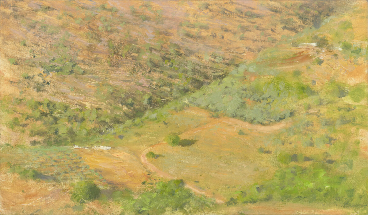 Light oranges and muted light greens create a mosaic of rural landscape from afar' with patches of olive orchards next to hillside with wild bushes/