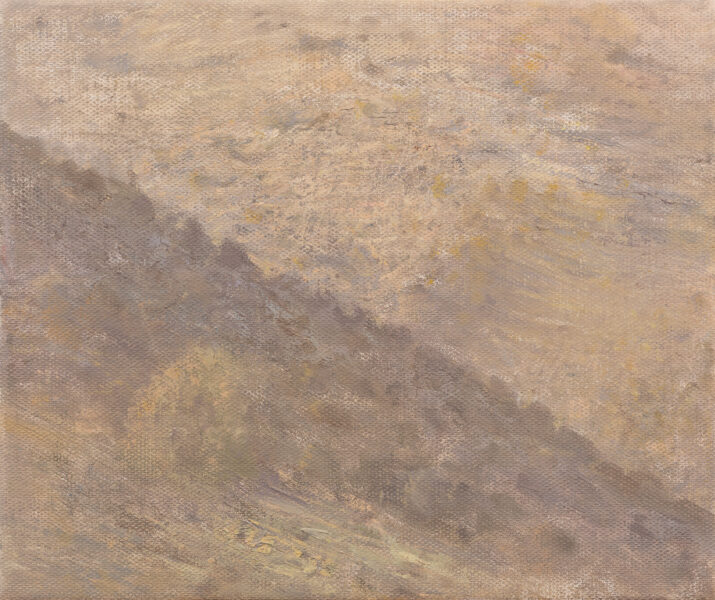 נוף כמעט זהה לקודם, גוונים סגלגלים יותר.