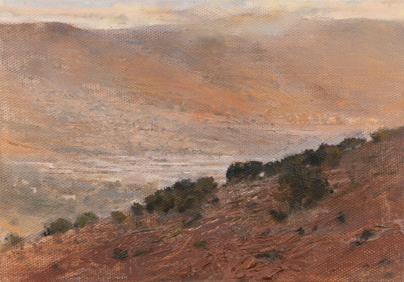 מדרון אלכסוני עם צבע סמיך, ברקע הר עם מבנים במשיכות מכחול לכיוון אלכסוני נגדי.