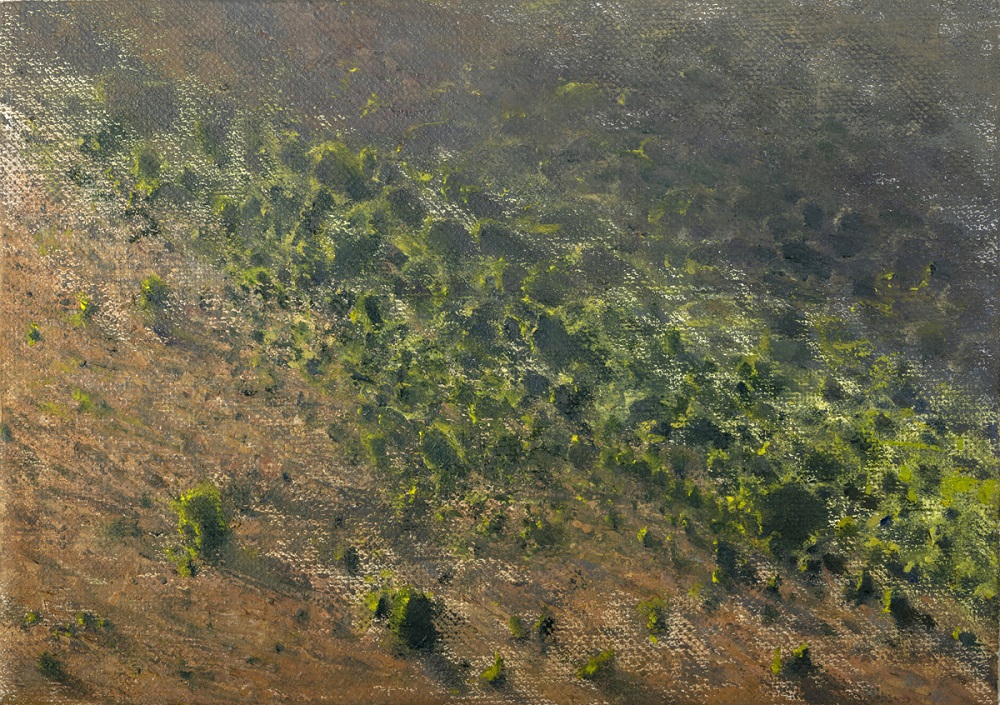  Bright and dark greens on pinkish background describe wooded slope in pre-sunset light 