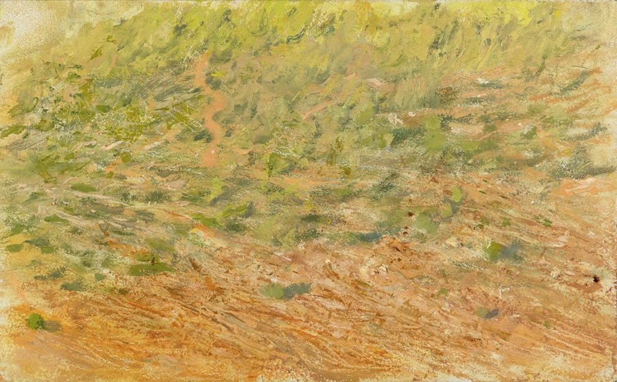 סימנים כמעט מופשטים, כתמים קצביים בכתום וירוק, מרמזים על צלע הר עם צמחיה