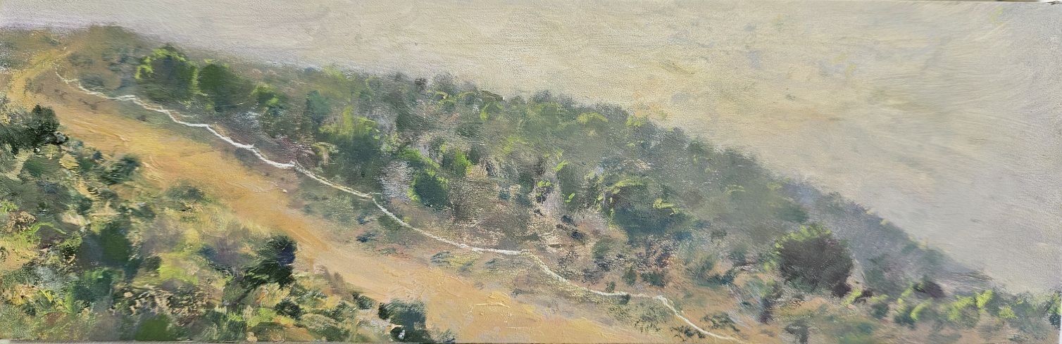 Narrow horizontal format with strong contrasts portraying hillside crossed by golden-colored diagonal path.