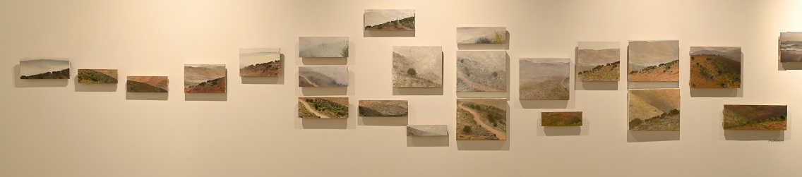 כעשרים נופים קטנים תלויים על קיר הגלריה.
