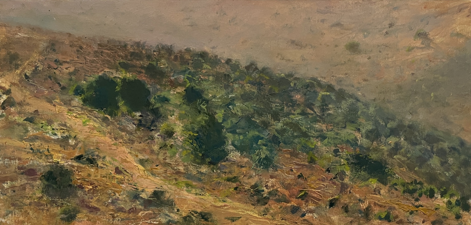 Windy light path at left, with earth tones and dark and light greens around it depicting hillside with trees in late afternoon light.